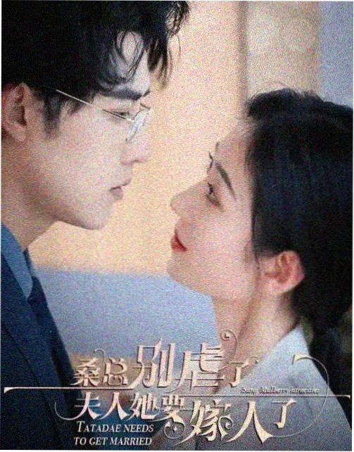 酷色影视剧集港湾记事海报