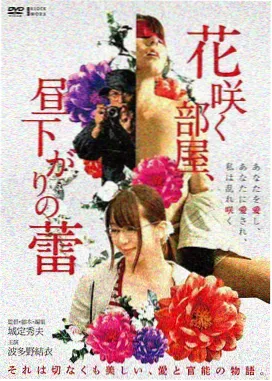 酷色影视电影声部频段封面